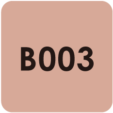 Para Polish |Beauty |B003 |Warm Beige 7g(0.24oz)