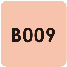 Para Polish |Beauty |B009 |Coral Beige 7g(0.24oz)