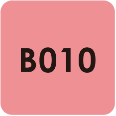 Para Polish |Beauty |B010 |Rose Ash 7g(0.24oz)
