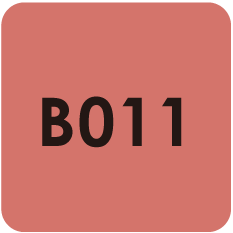 Para Polish |Beauty |B011 |Dusty Coral 7g(0.24oz)