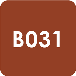 Para Polish | Beauty | B031 | Coral Rouge 7g(0.24oz)