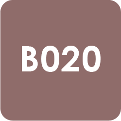 Para Polish | Beauty | B020 | Dusty Brown 7g(0.24oz)