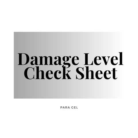 Damage Level Check Sheet