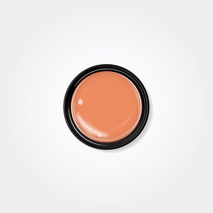 Designer's Line |Neon |DNE03 |Carrot 4g(0.14oz)