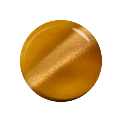 Designer's Line |Magnet |DMG03|Hazel Nuts 3g(0.11oz)
