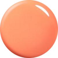 Art Line |Pearl Color |AP11 |Pearl Orange 4g(0.14oz)