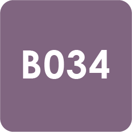 Para Polish | Beauty | B034 | Iris 7g(0.24oz)