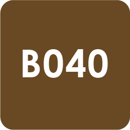 Para Polish | Beauty | B040 | Burnt Umber 7g(0.24oz)