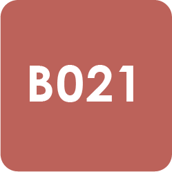 Para Polish | Beauty | B021 | Coral Red 7g(0.24oz)