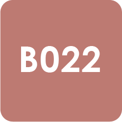 Para Polish | Beauty | B022 | Brick Beige 0.24oz